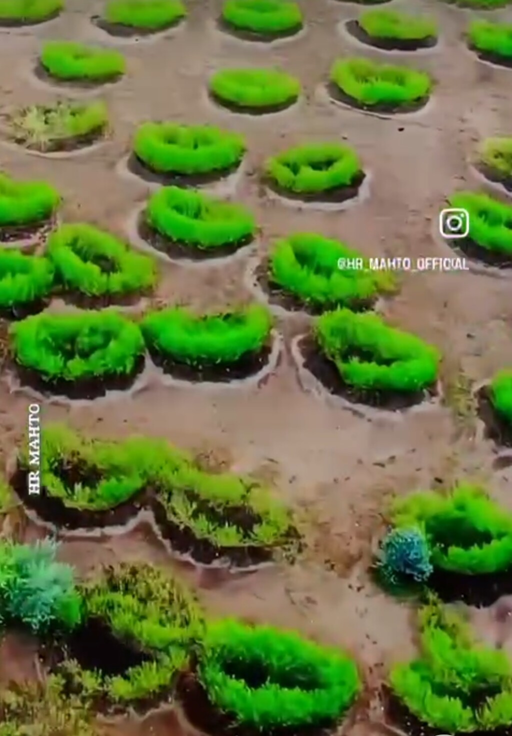 बारिश का पानी रोक ज़मीन  को हराभरा रखने की अफ्रीकी तरकीब