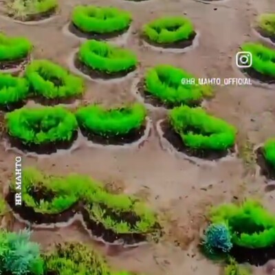 बारिश का पानी रोक ज़मीन  को हराभरा रखने की अफ्रीकी तरकीब