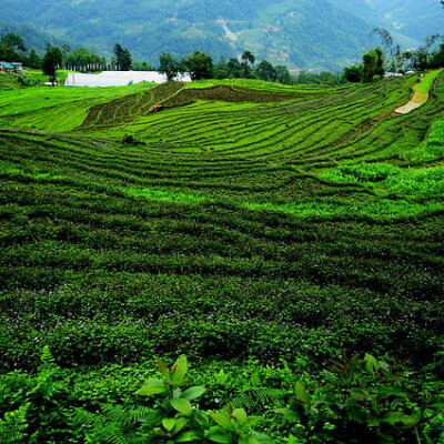 सम्पन्न प्रदेश सिक्किम...