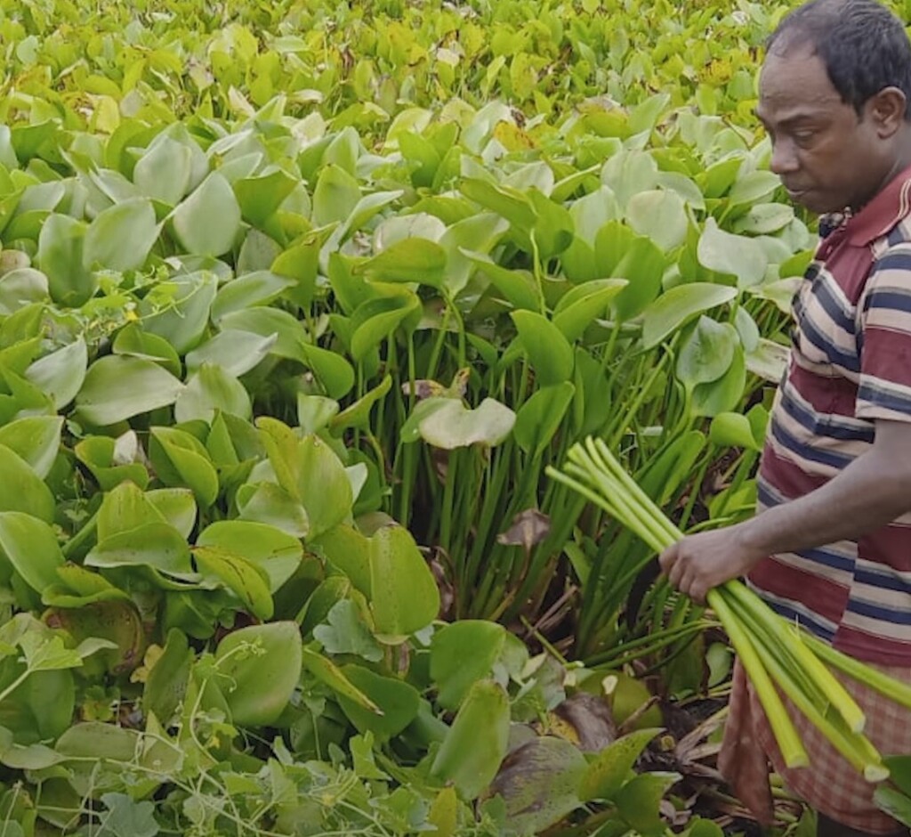 झारखंड के इंजीनियर ने जलकुम्भी से बनाई ‘फ्यूजन साड़ी’