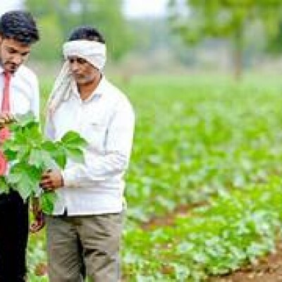 Krishak Unnati Yojana : कृषक उन्नति योजना कार्यक्रम 12 मार्च को