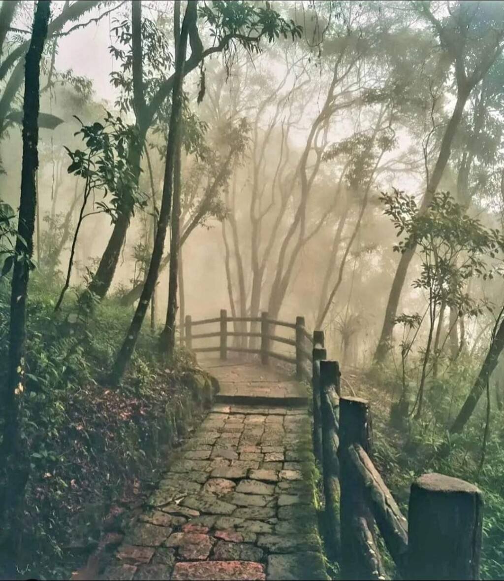 ब्लरमूड्स