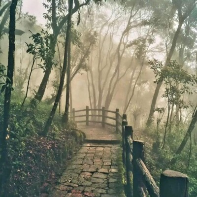 ब्लरमूड्स