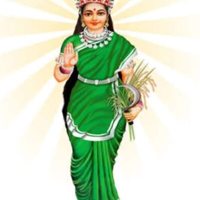 हैप्पी बर्थडे छत्तीसगढ़