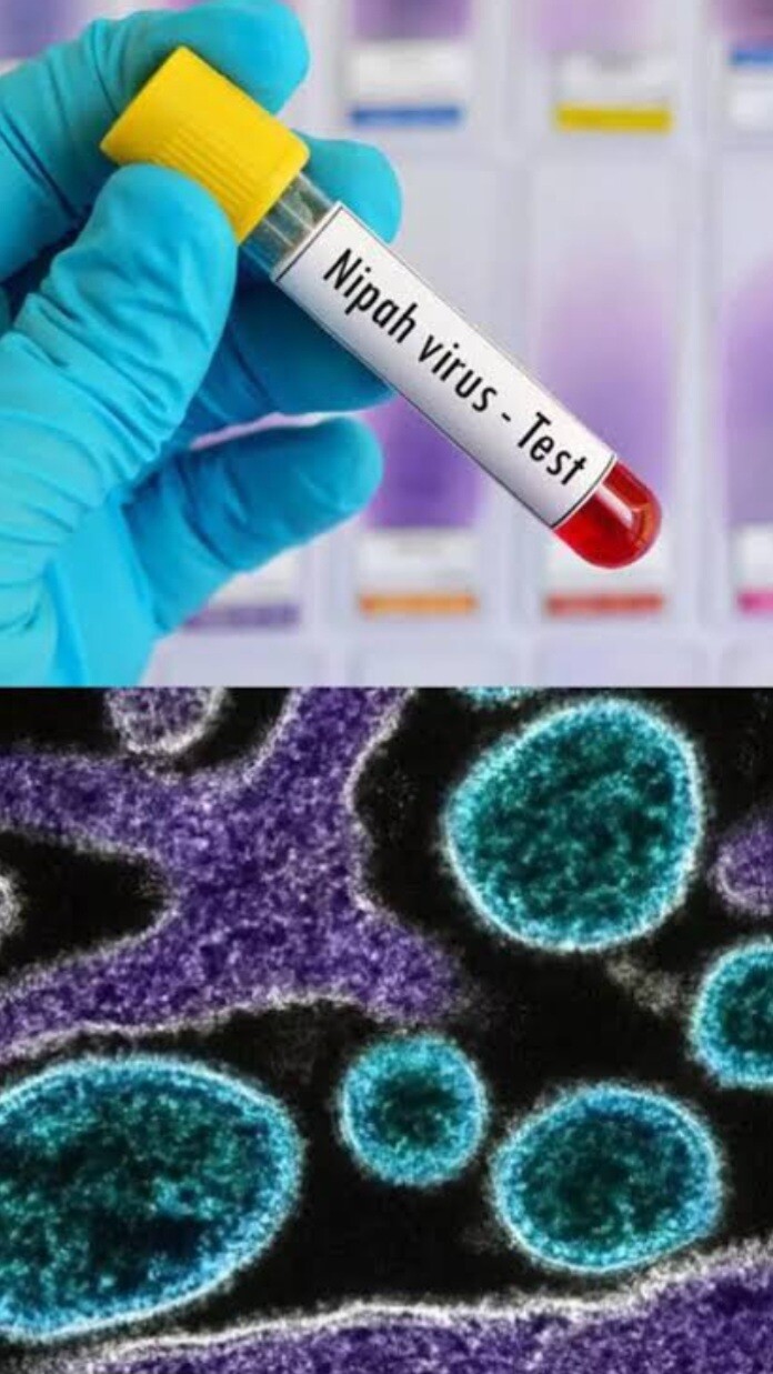 केरल में निपाह वायरस से दो की मौत