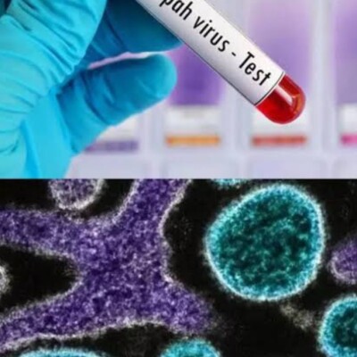 केरल में निपाह वायरस से दो की मौत