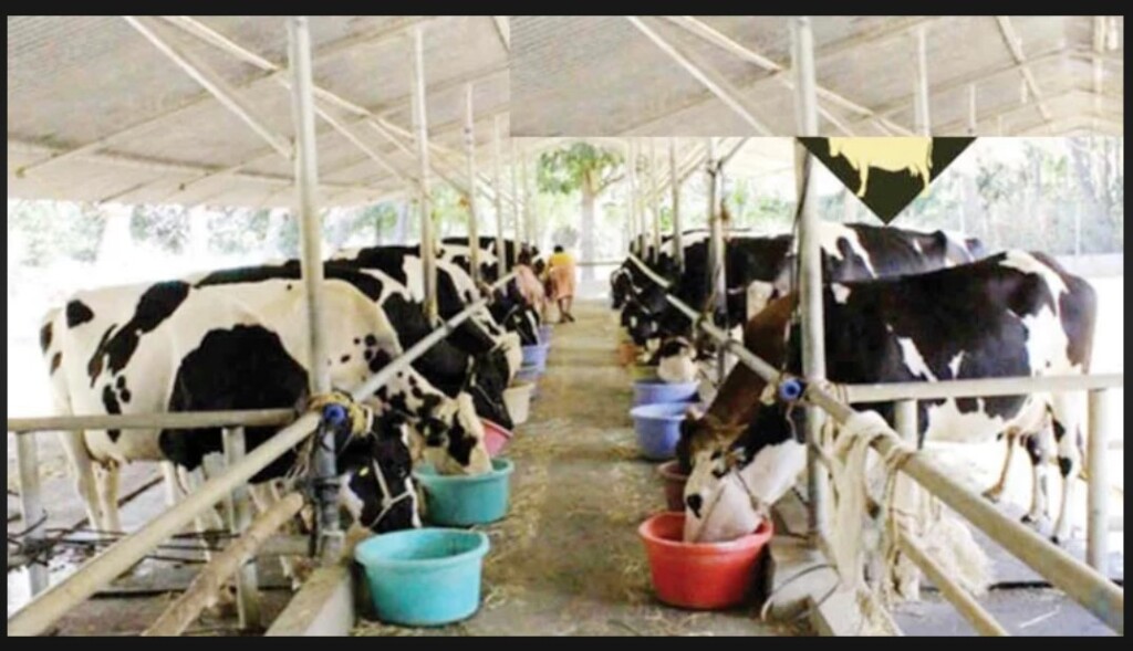 Animal Fair : पशुधन मेले में उन्नत नस्ल के पशुओं का हुआ प्रदर्शन