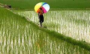 Krishak Unnati Yojana : खेती-किसानी से खुलेंगे समृद्धि के द्वार