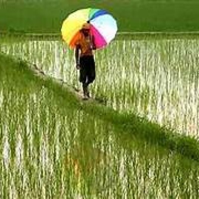 Krishak Unnati Yojana : खेती-किसानी से खुलेंगे समृद्धि के द्वार